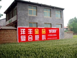 兴安如何让墙体广告展现最大化效果
