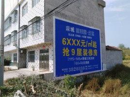 兴安墙体广告质量分析
