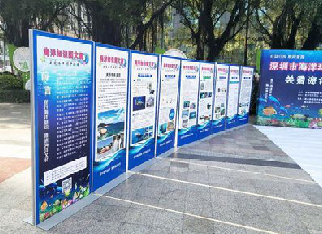 兴安KT板的种类和知识。